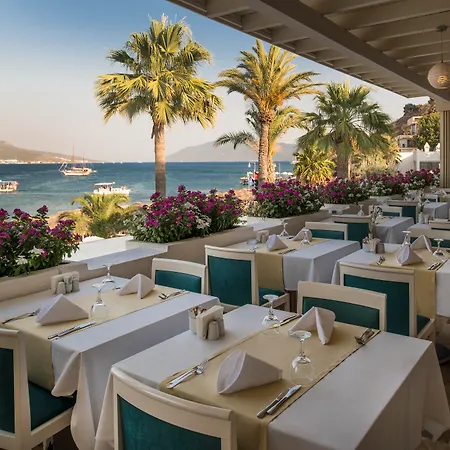 Prive - Adult Only Rezort