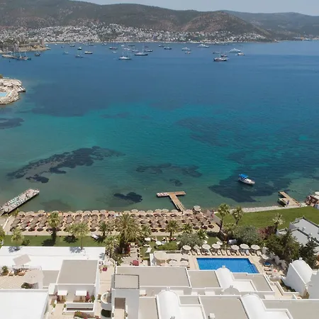 Semesteranläggning (resort) Agaya - Adult Only Bodrum