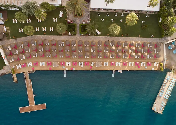 Resort Agaya - Adult Only