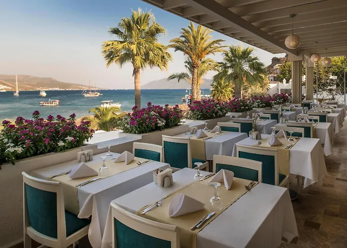 Agaya - Adult Only Resort