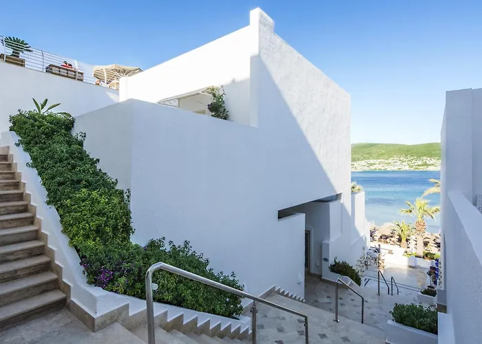 Agaya - Adult Only Bodrum